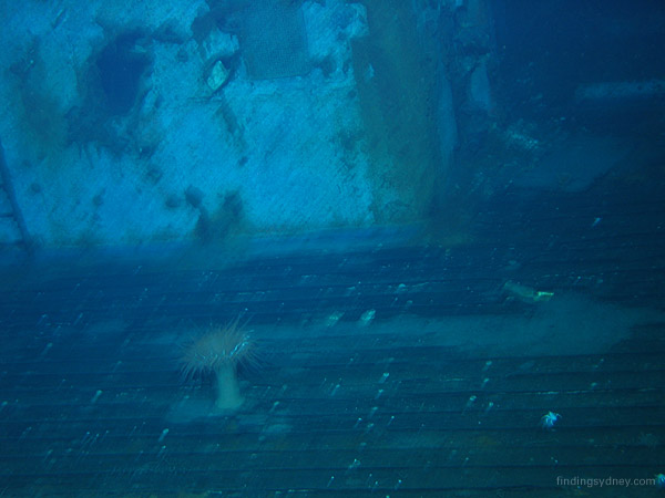 A section of the HMAS Sydney deck showing the teak wood planks still remarkably intact.