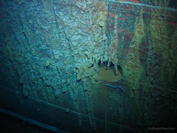 Oval opening of Kormoran’s underwater torpedo tube on the starboard side, partially obscured by rusticles.