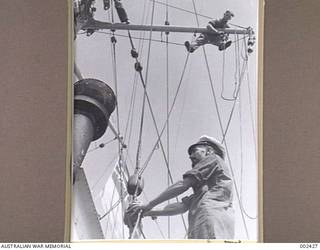 ALEXANDRIA, EGYPT. CLEANING OPERATIONS IN THE RIGGING ABOARD HMAS SYDNEY AFTER DAMAGE IN THE SUCCESSFUL NAVAL ACTION AGAINST THE ITALIAN CRUISER BARTOLOMEO COLLEONI.