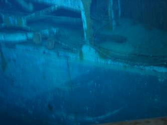 Base of cradle, port side aft for 27-foot whaler
