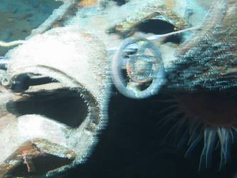 Wreckage on seabed near forward part of ship showing valve wheel