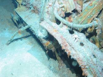 Unidentified wreckage in vicinity of fore end of hull