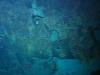 Shell hit on port side of ship