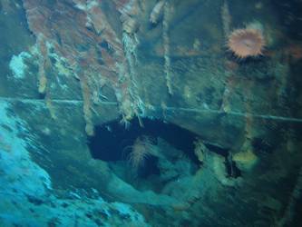 Shell hit on port side of ship