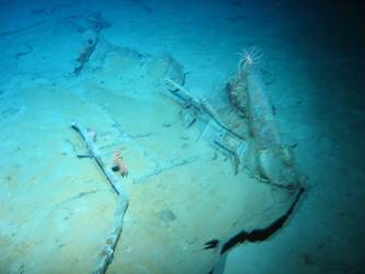 Wreckage on seabed near forward part of ship