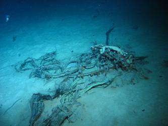 Cable run and wires on seabed