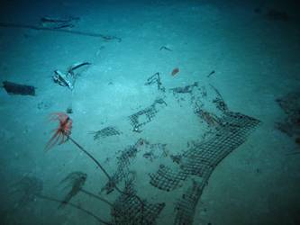 Wire mesh on seabed