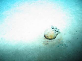 Unidentified wreckage