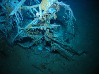 Aft searchlight platform