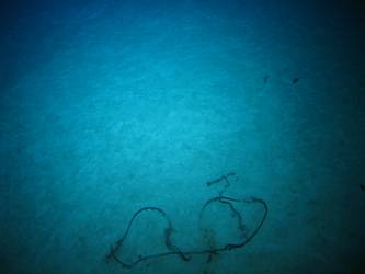 Wire on seabed