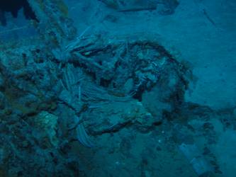 Large piece of unidentified upper works from Sydney