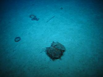 Steel drum or signal light on seabed