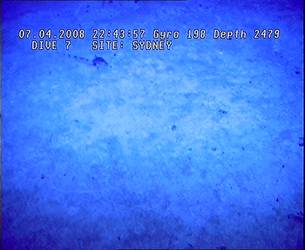 HMAS Sydney (II) Wreck - ROV Dive 07 - 7 April 2008 - 22:43