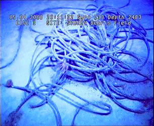 Coiled rope amongst debris field