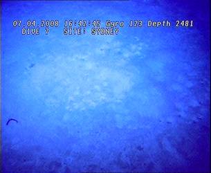 HMAS Sydney (II) Debris Field - ROV Dive 07 - 7 April 2008 - 16:42