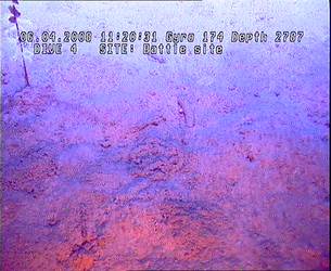 Discounted Battle Site (Geological Outcrops) - ROV Dive 04 - 6 April 2008 - 11:20